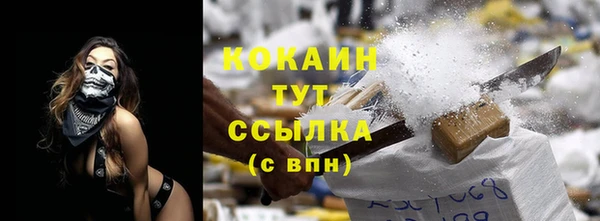 сатива Инсар
