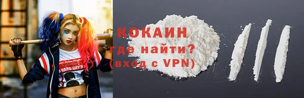 сатива Инсар
