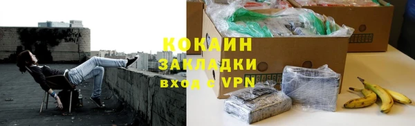 сатива Инсар