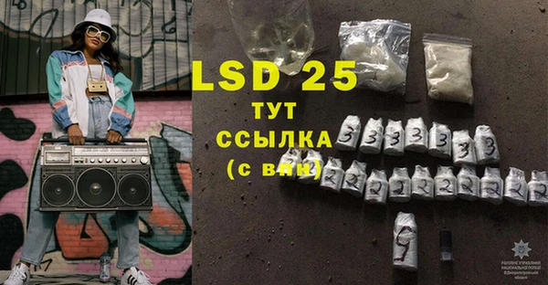 сатива Инсар
