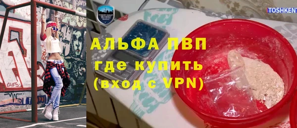 амф Инта