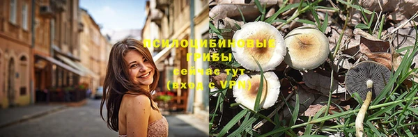 амф Инта