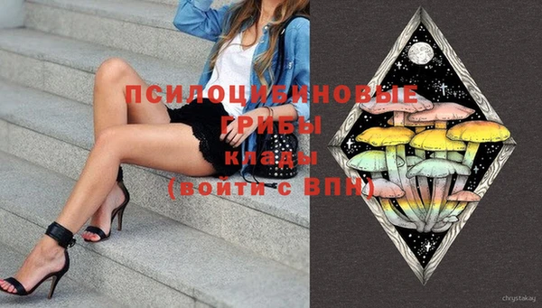амф Инта