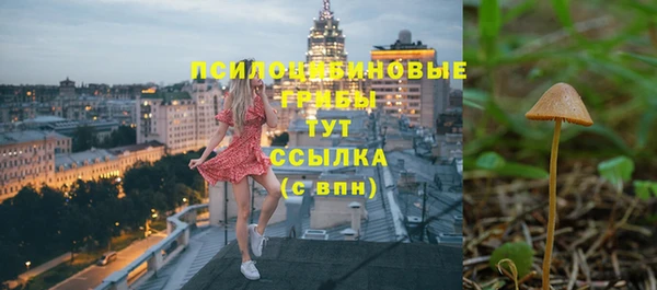 сатива Инсар