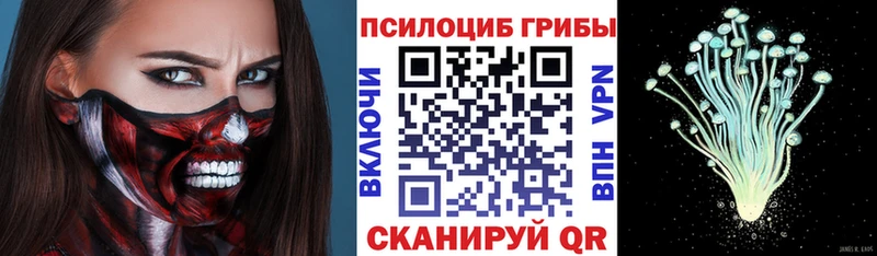 Псилоцибиновые грибы GOLDEN TEACHER Карталы