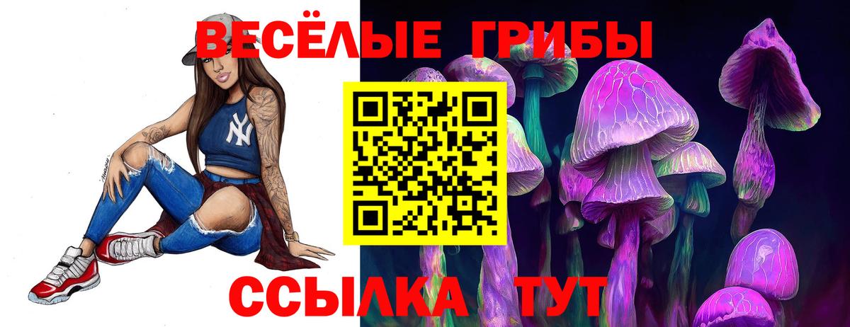 Псилоцибиновые грибы Psilocybe Карталы
